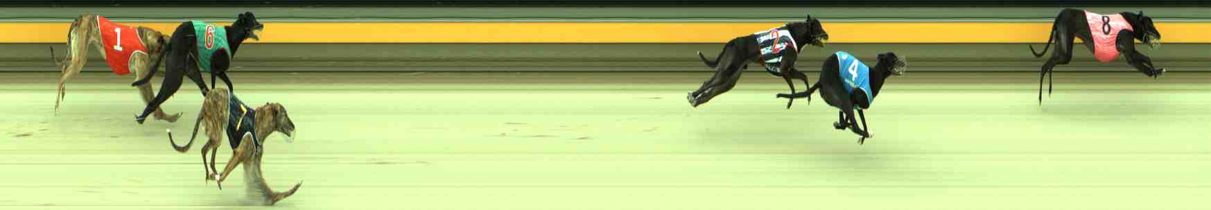 Race result finish photo